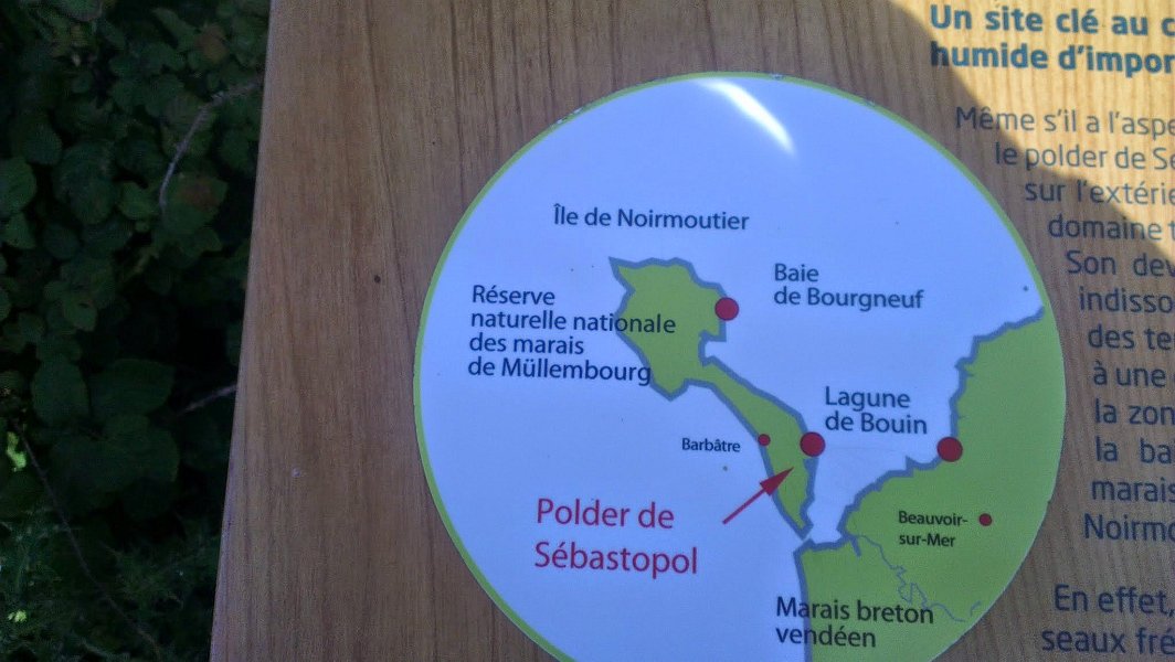 2014 Ile de Noirmoutiers Sylt (195)